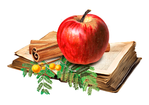 Apfel-Zimt-Kekse. Apple Pie Cookies, 100g